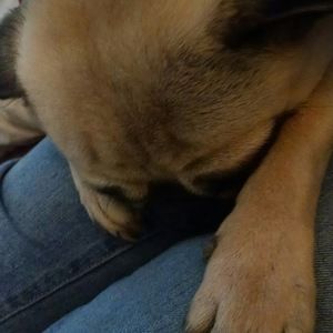 Meet your Posher, Nikki